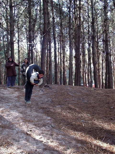 Volamos por los aires, en el monte de pinos.