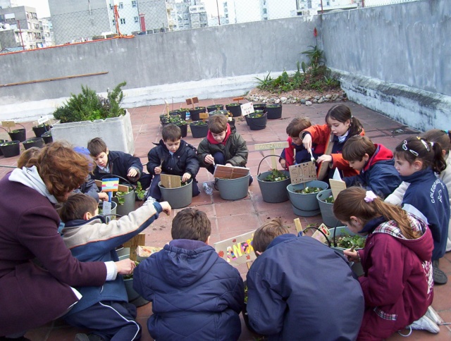 Aflojamos la tierra.