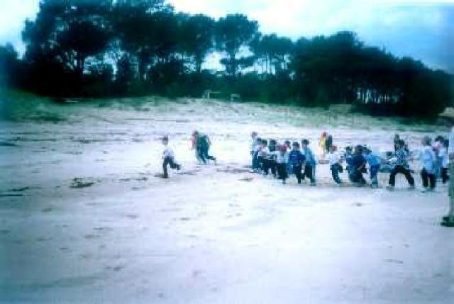 En la playa.