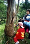 Observando los elementos de la naturaleza.