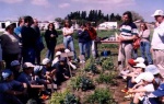 Los padres compartieron una jornada de actividad.