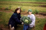 La cosecha de las hortalizas producidas en la huerta del colegio.