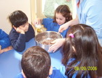 Cooking chocolate biscuits.