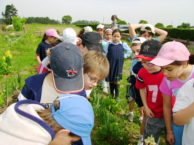 At the orchard